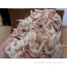 Large Quantity Uncooked Dried Small Shrimp